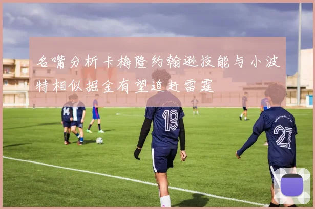 名嘴分析卡梅隆约翰逊技能与小波特相似掘金有望追赶雷霆